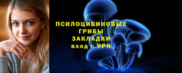 твердый Семилуки