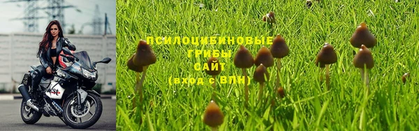 ГАЛЛЮЦИНОГЕННЫЕ ГРИБЫ Балабаново